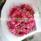 Good Smell Hot Sale Cut Gerbera Flowers thumbnail-3