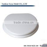 Plastic Mould ,plastic Toilet Seat Cover Mould thumbnail-3