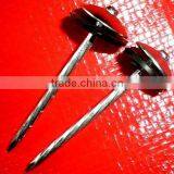 Africa Market Fast Sell Galvanized Oval Head Twisted Nails thumbnail-4