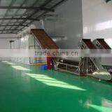 Longyao County Xuri Food Co., Ltd. company overview - view 3 thumbnail