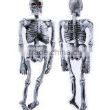 Pirate and Human Skeleton Giant Captain V Sir Mask Come to the Masquerade Party thumbnail-4