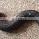 High Quality Truck Body Part Radiator Hose for Japanese Heavy Duty Truck HINO 700 on Sale thumbnail-3