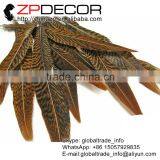 ZPDECOR Factory Wholesale Leading Selling Natural 15cm-20cm Golden Pheasant Tail Feathers for Carnivals thumbnail-2