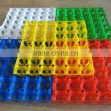 Packing Transport Tray Plastic Chicken Egg Tray 30 Holes Egg Tray Price thumbnail-1