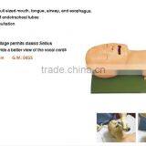 51 Air-way Management Model Teaching Models