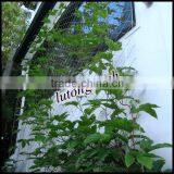 Stainless Steel Ivy Screen Cable Mesh