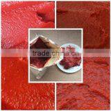 KOSHER Tomato Paste With High Level Lycopene thumbnail-4