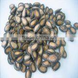 Hot Products Delicious Watermelon Seed thumbnail-2