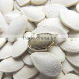 Roasted and Salted Pumpkin Seeds thumbnail-2