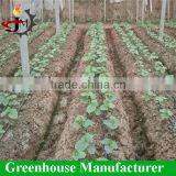 Tomato Growing Sun Shade Plastic Film Greenhouse thumbnail-5