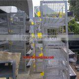 Quail Cage Design for Sale thumbnail-1