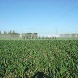 100mm Aluminium Irrigation Pipe thumbnail-4