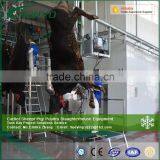 Halal Ritual Slaughtering Equipment Equipping to Cattle Slaughter House thumbnail-1