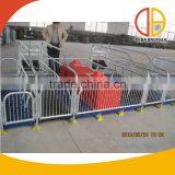 Factory Price Farrowing and Farrowing Crate for Sale thumbnail-2