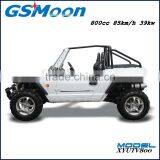 Powerfull 800cc Dune Buggy for Sale With EFI Engine thumbnail-5