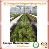 Healthy Greenhouse Stereoscopic Agriculture Save Space Save Soil no Need Fertilizer Planting Foam thumbnail-6
