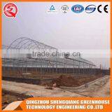 Multi-span Plastic Tomato Greenhouse Hot Galvanized Steel Frame thumbnail-5