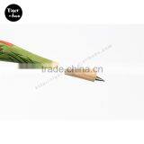 Wholesale Novelty Wooden Bird Ball Pen thumbnail-4
