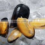 Frozen Half Shell Blue Mussel Meat thumbnail-1