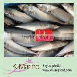 China Supplier Frozen Mackerel Fish thumbnail-1