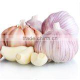 Wholesale Chinese Purple and White Garlic thumbnail-4