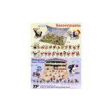 Sell Soccermania thumbnail-1