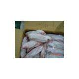 Vietnam Frozen Red Biyeyes Scad thumbnail-1