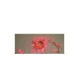 Sell 30L Gem Light thumbnail-1