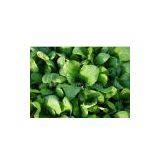 OFFER:frozen Komatsuna thumbnail-1