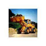 Wheel Loader 30V