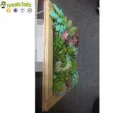 50*50cm Artificial Succulent Plants Plastic Ferns Green Grass Photo Frame Wall Decoration Flowers Home thumbnail-2