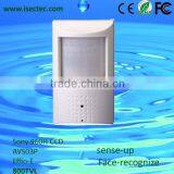 High Definition 700tvl Sony Effio-e CCD CCTV Security PIR Hidden Camera