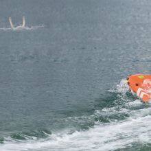 Shenzhen Hoverstar Flight Technology Co.,Ltd. company overview - view 1 thumbnail