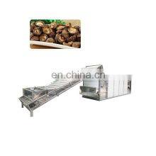 Peeled Mango Drying Fruit Dried Fruit Dry Food Machine Food Drying Machine
