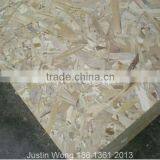 Chinese Osb thumbnail-1