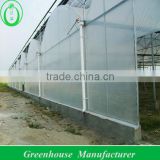 UV Treated Plastic Greenhouses for Sale