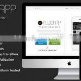 Mobile Application Development Environment thumbnail-3