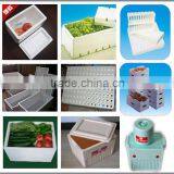 Milon Best EPS Foam Plastic Vacuum Forming Box Machine thumbnail-5