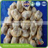 Frozen cooked baby clams short necked clam with shell IQF