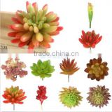 HOT colored fake succulet plants succulent plants for wholesale