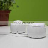 Delicate Nice Glass Humidifier for Anniversary Gift