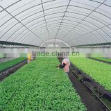 heat insulation light transmission hollow polycarbonate greenhouse