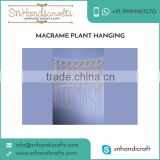 100% Effective and Efficient Macrame Plant Hangers from Bulk Trader