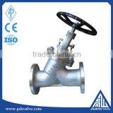 Stainless Steel Y Type Globe Valve