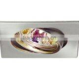 Adjustable Tilt 35deg Low Voltage Halogen Square Recessed MR16 Down Light HL276