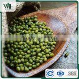 Machine Dressed Green Mung Bean thumbnail-1