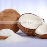 DESICCATED COCONUT - HIGH FAT MEDIUM GRADE PREMIUM QUALITY thumbnail-1