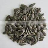 Black Sunflower Seeds