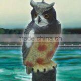 Yellow Owl HYZ015 thumbnail-1