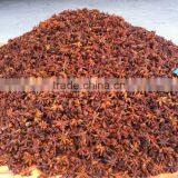HIGH QUALITY STAR ANISEED FROM KEGO VIETNAM thumbnail-6